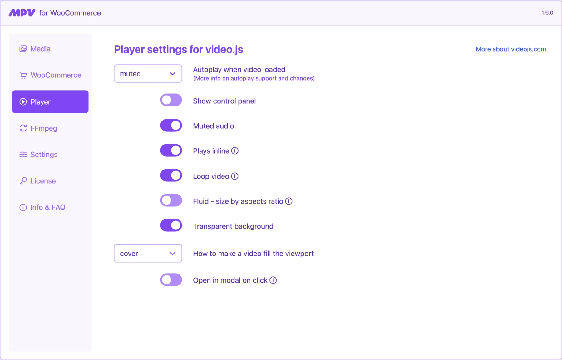 Player settings for video.js with autoplay, loop and fit options